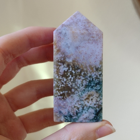 Ocean Jasper Tower 10 - Picture 3 of 14